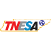 Member of Tennessee Electronic Security Association(TNESA)